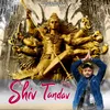 About Shiv Tandav Song